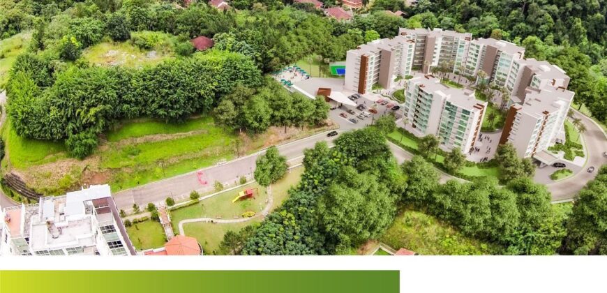 Proyecto Forest Gate Panamá.